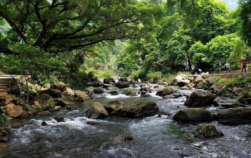 广东流溪河森林公园，夏天戏水的好地方，还可以免费吃三华李