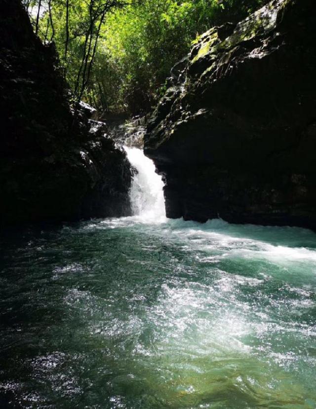 广东流溪河森林公园，夏天戏水的好地方，还可以免费吃三华李