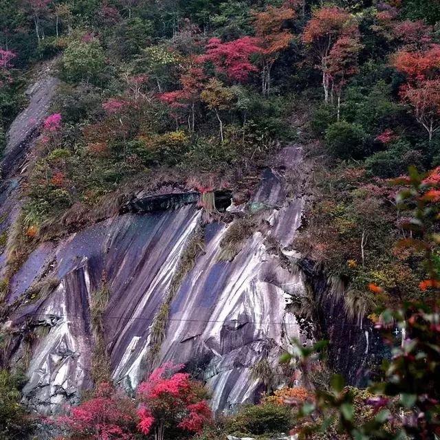 福建最佳红叶观赏地，随手一拍都是大片