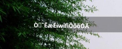 ​移动随身wifi怎么用（携带wifi是骗局不)