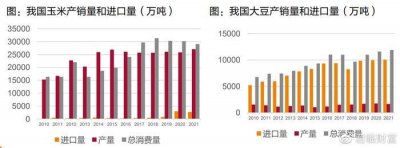 ​重磅！新种子法出台