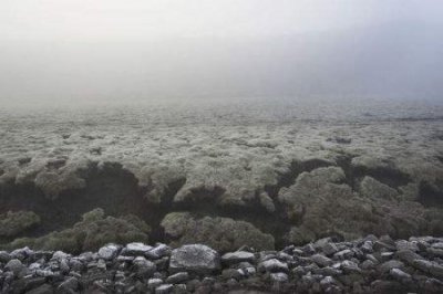 ​邹城旅游团 畅游山水之间，尽享美食佳饮