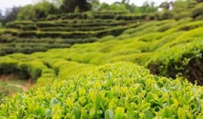 ​中国的热门旅游路线有哪些