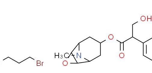莨菪碱怎么读（丁溴东莨菪碱怎么读）
