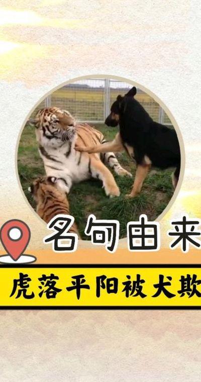 虎落平阳被犬欺全文（虎落平阳被犬欺典故）