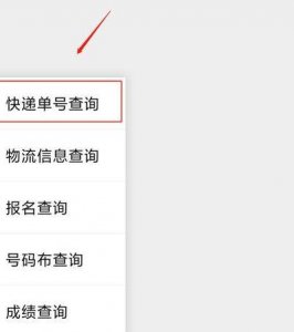 ​手机号一键查全网包裹（输入手机号查快递）