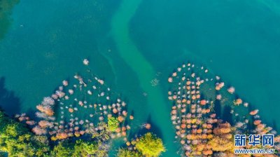 ​串珠成“链” 广东构建万亿级文旅产业发展新格局